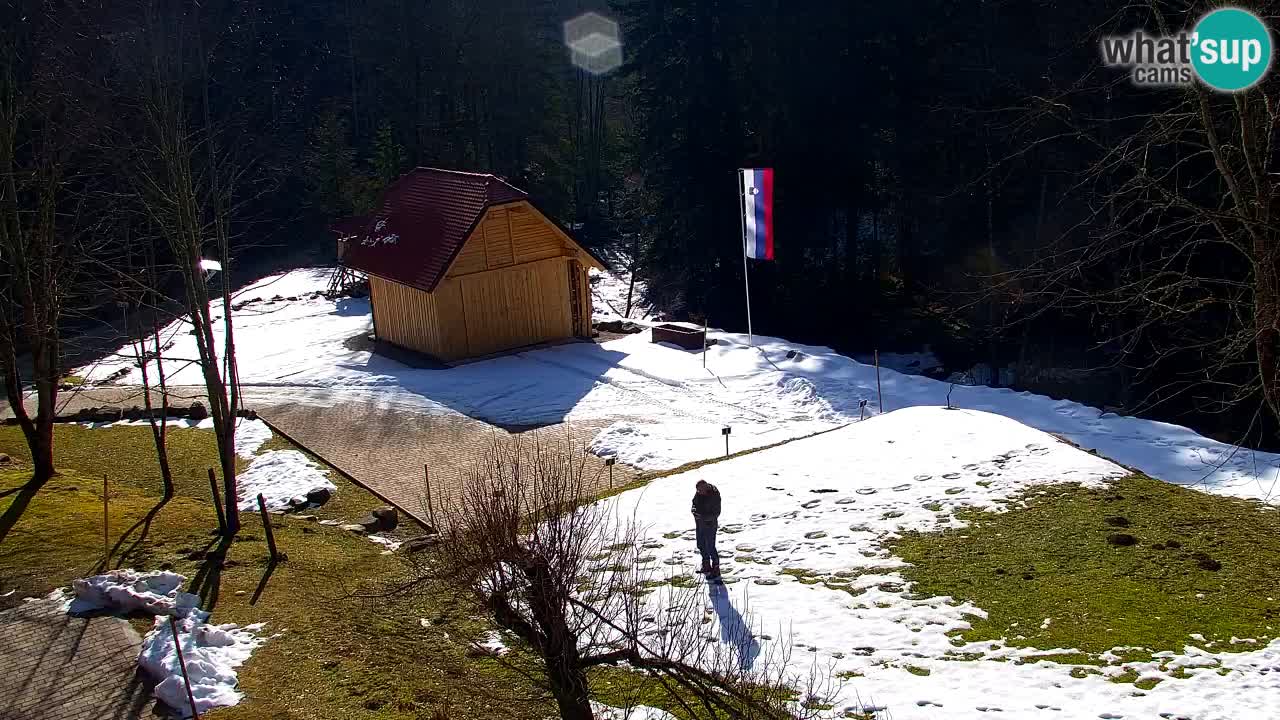 Webcam Lukanja – Pohorje houses a Water village