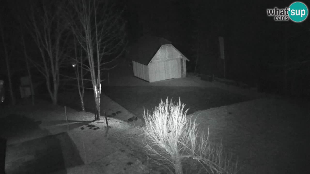 Webcam Lukanja – Water Village | Pohorje Houses