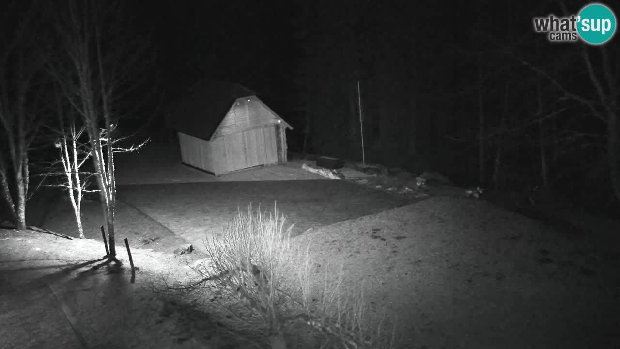 Webcam Lukanja – Pohorje houses a Water village