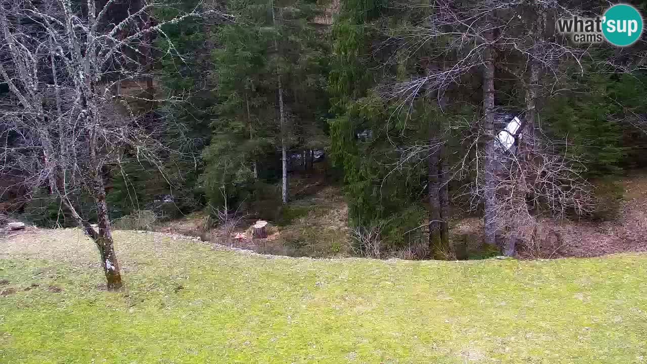 Webcam Lukanja – Water Village | Pohorje Houses