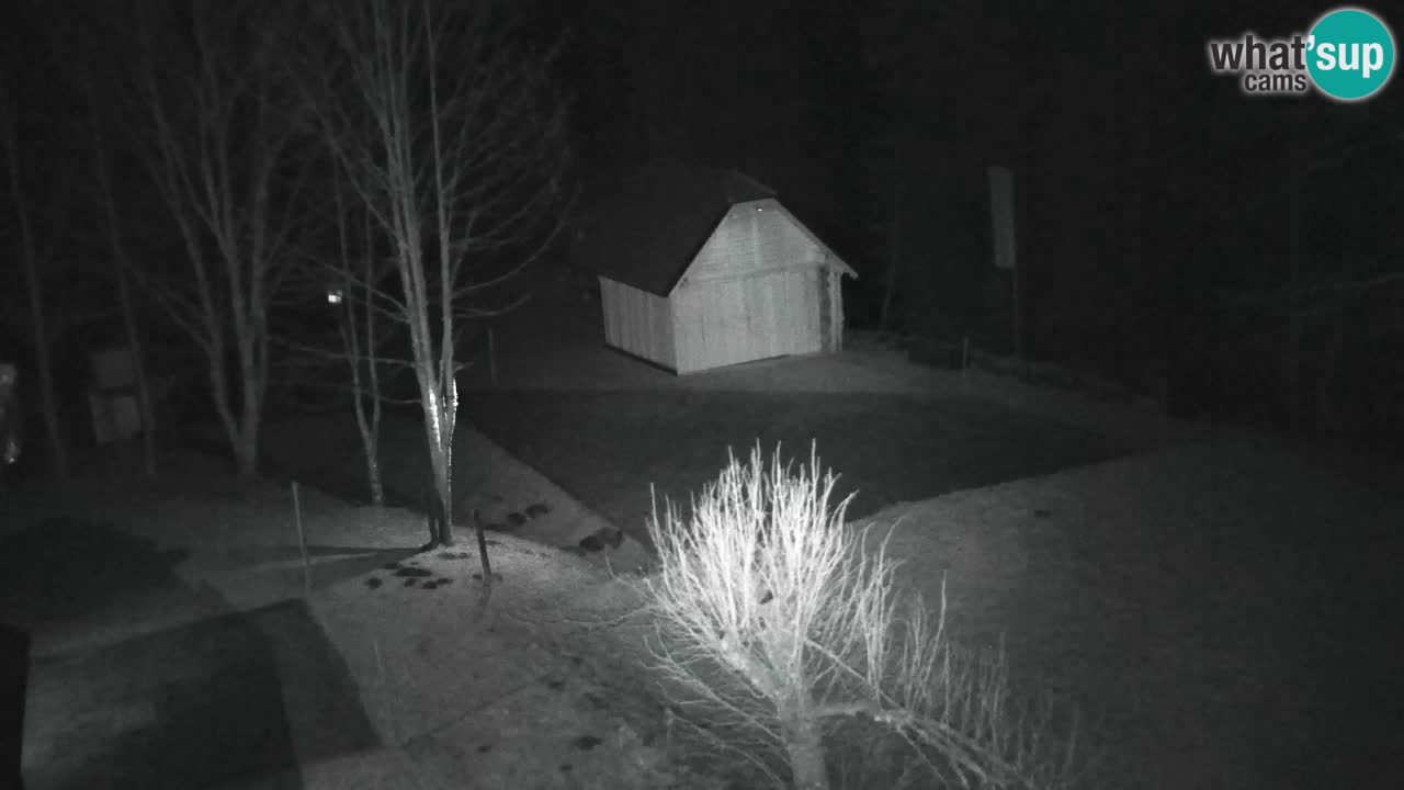 Webcam Lukanja – Water Village | Pohorje Houses