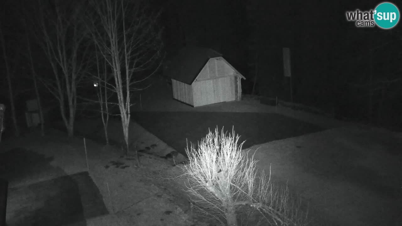 Webcam Lukanja – Water Village | Pohorje Houses