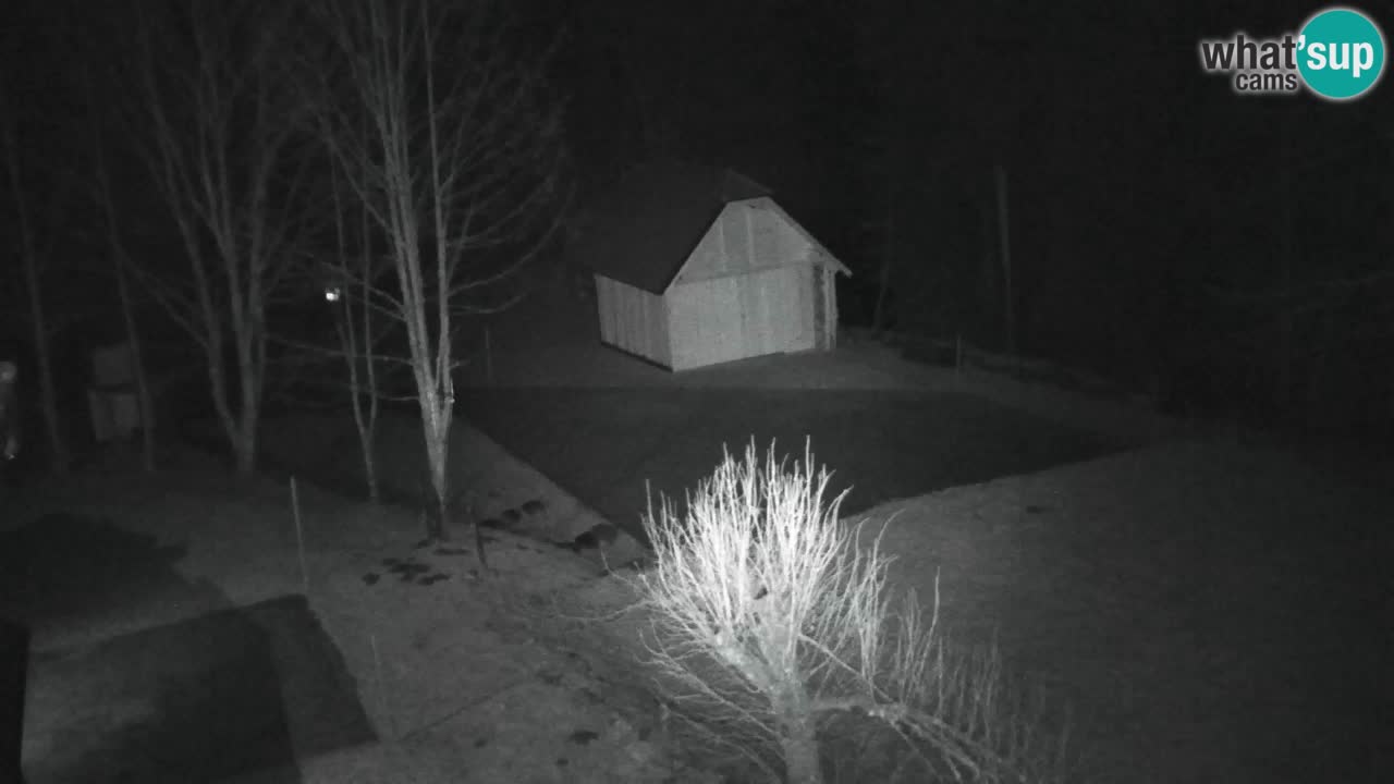 Webcam Lukanja – Pohorje houses a Water village