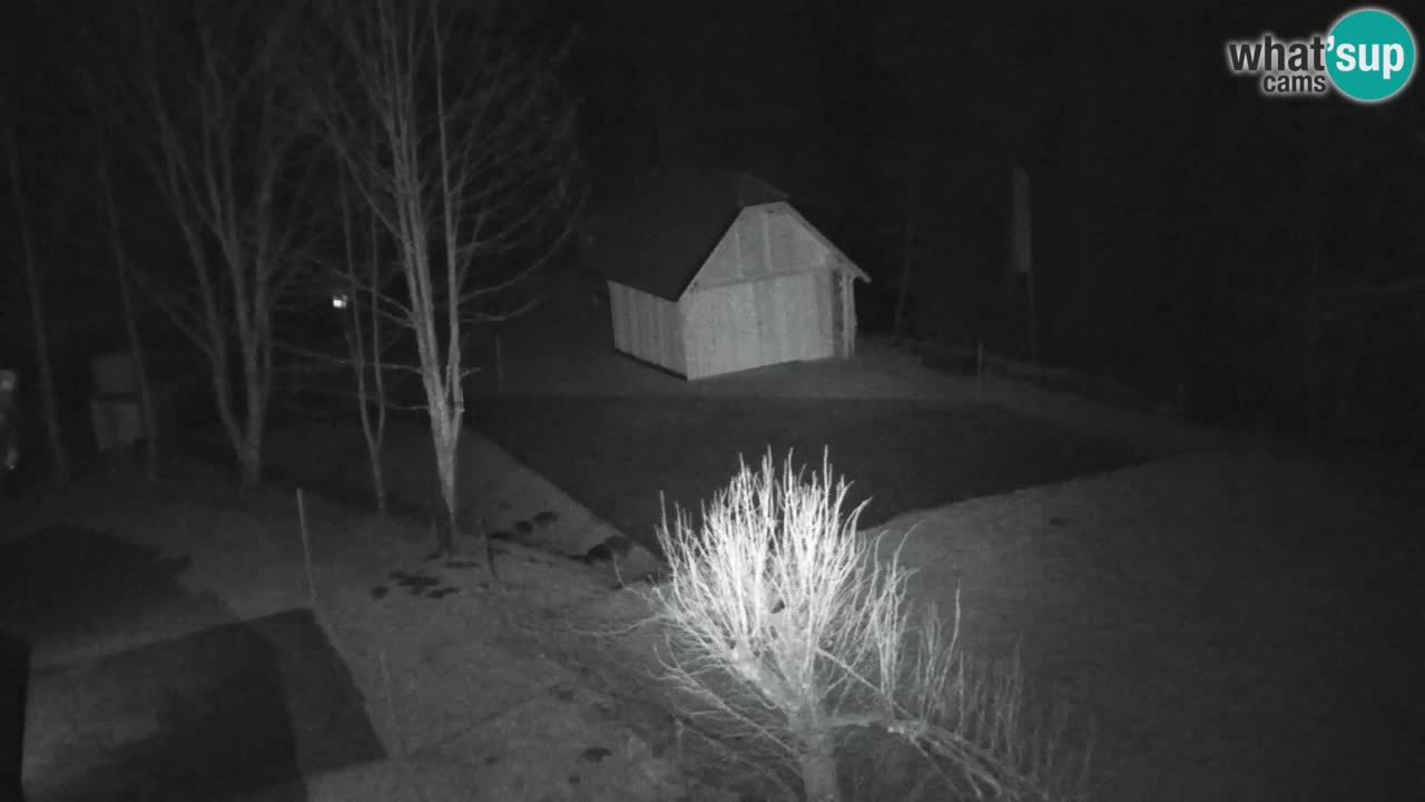 Webcam Lukanja – Water Village | Pohorje Houses