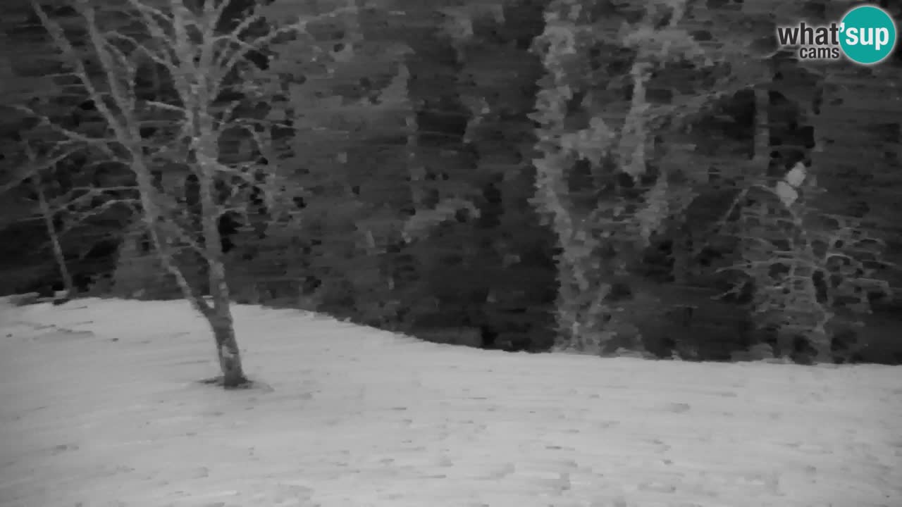 Spletna kamera Lukanja – Water Village | Pohorje Houses