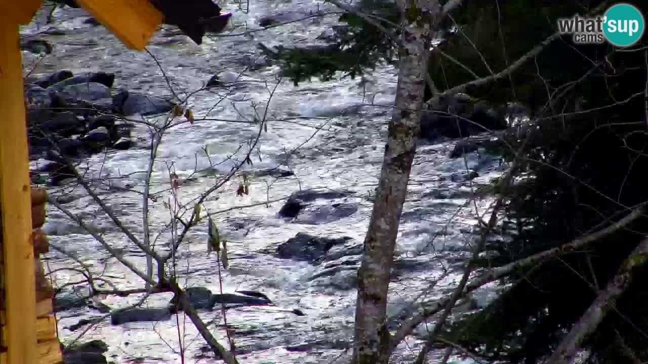 Webcam Lukanja – Pohorje houses a Water village