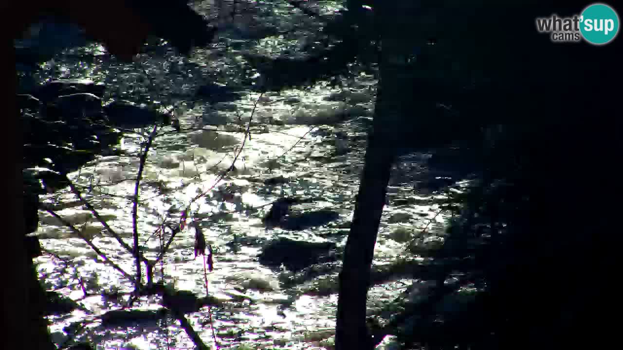 Webcam Lukanja – Water Village | Pohorje Houses