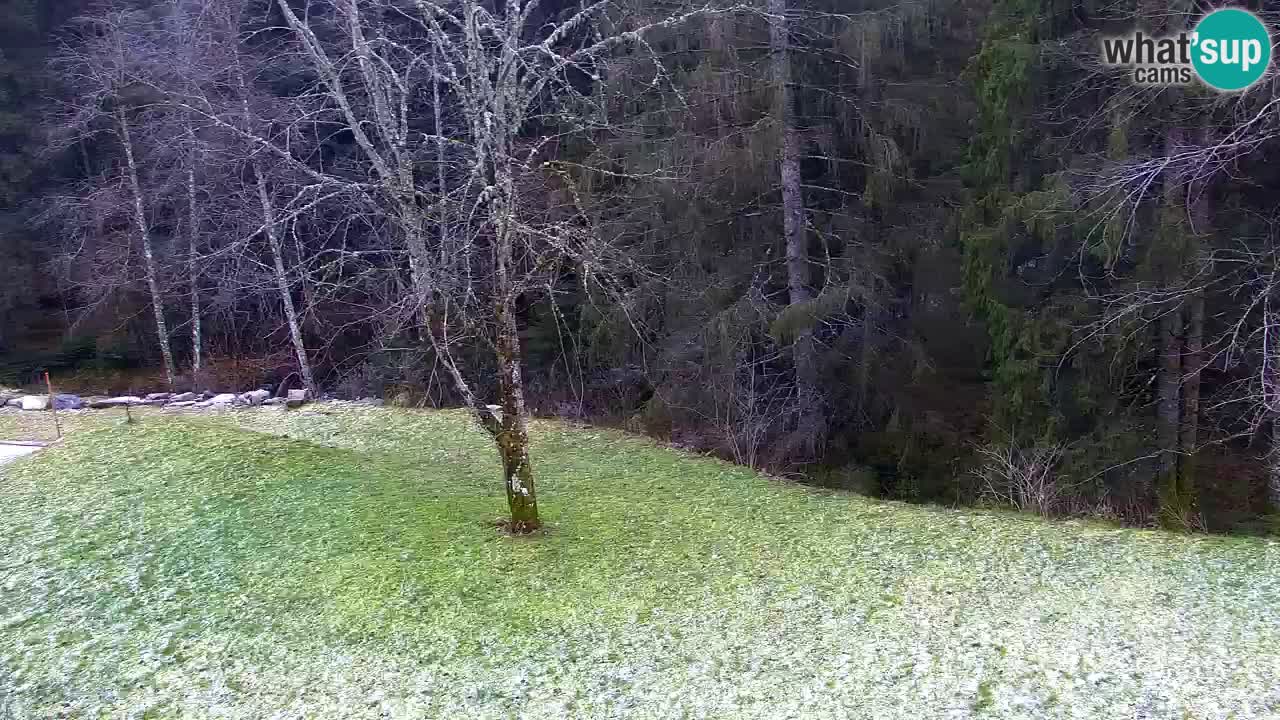 Webcam Lukanja – Pohorje houses a Water village