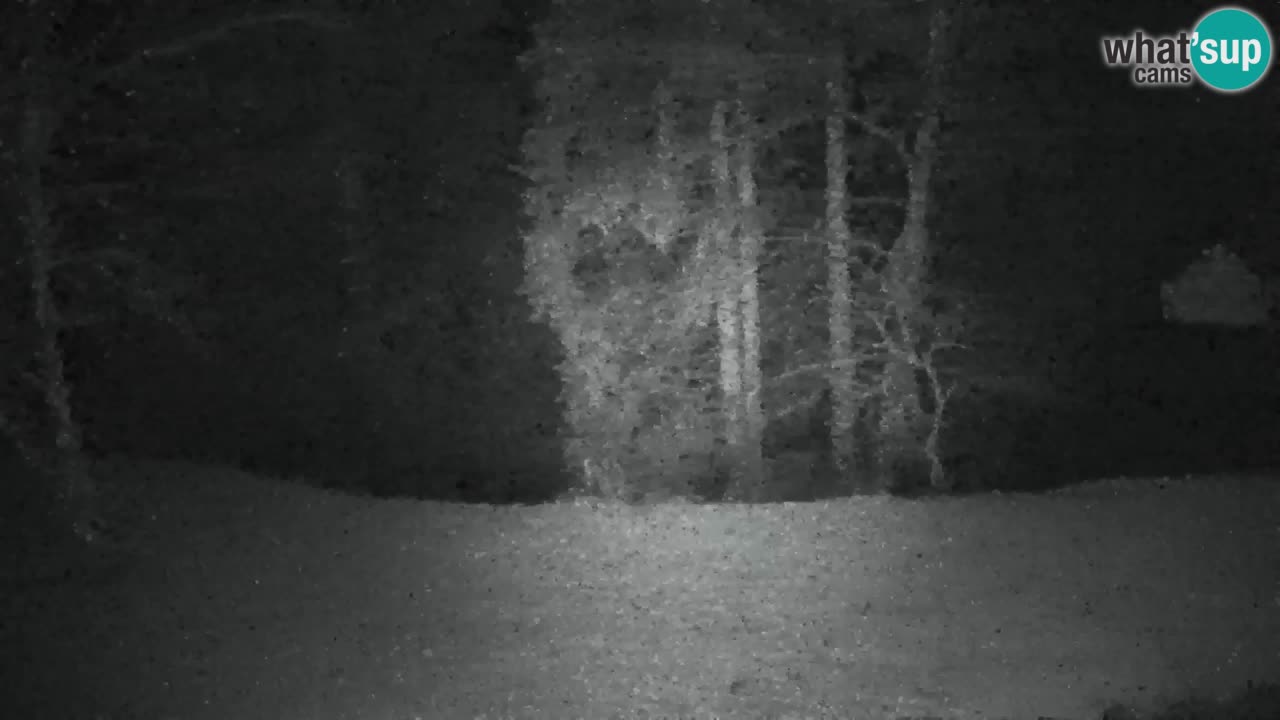 Webcam Lukanja – Water Village | Pohorje Houses