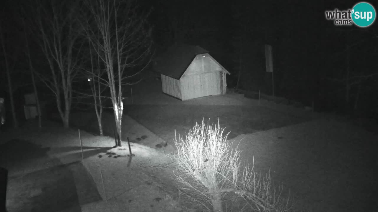 Webcam Lukanja – Water Village | Pohorje Houses