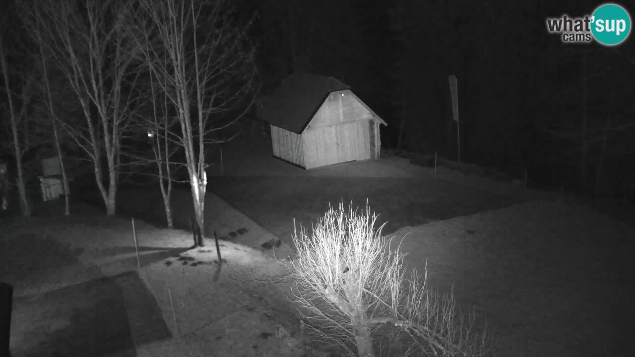 Webcam Lukanja – Pohorje houses a Water village