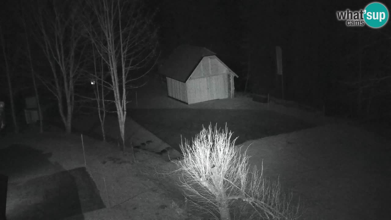 Webcam Lukanja – Pohorje houses a Water village