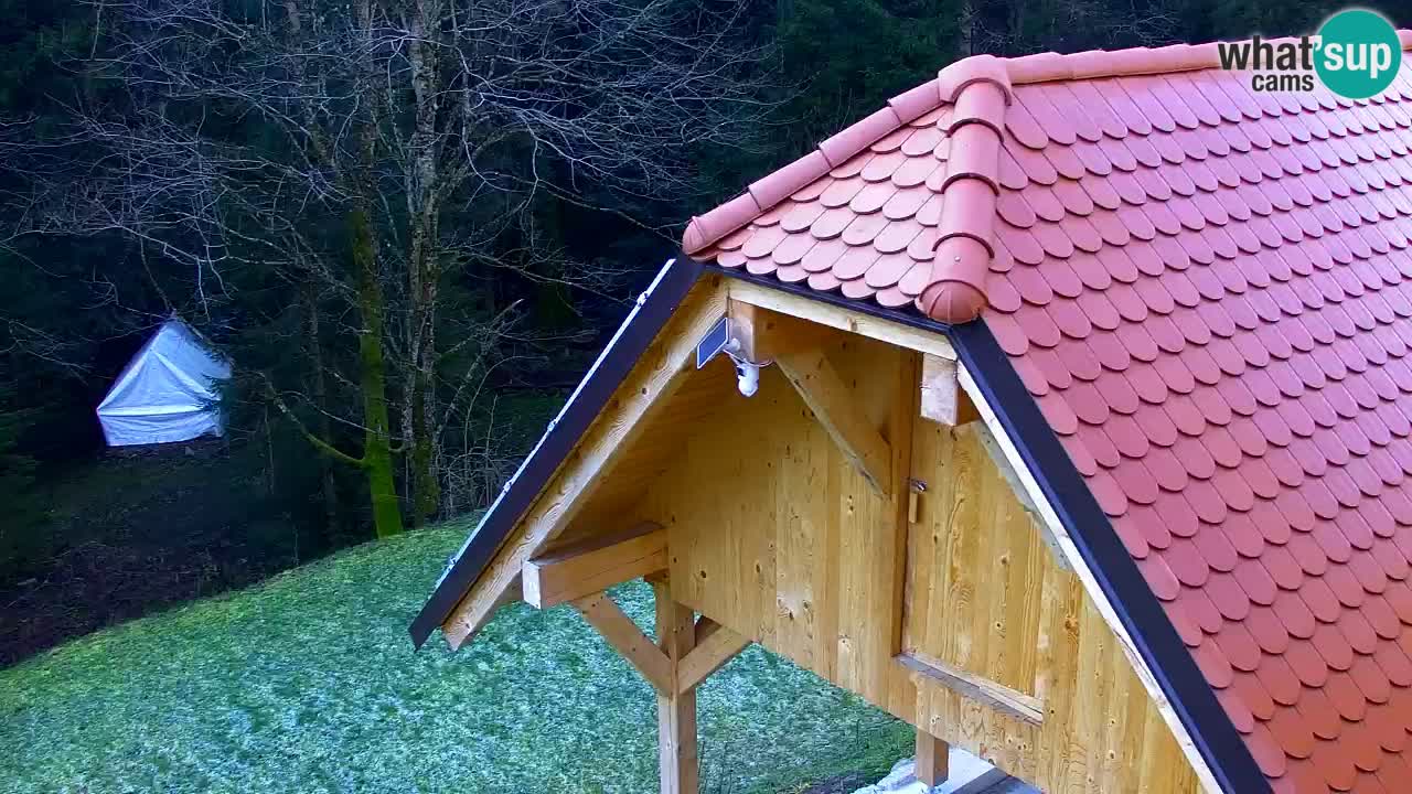 Web kamera Lukanja – Water Village | Pohorje Houses