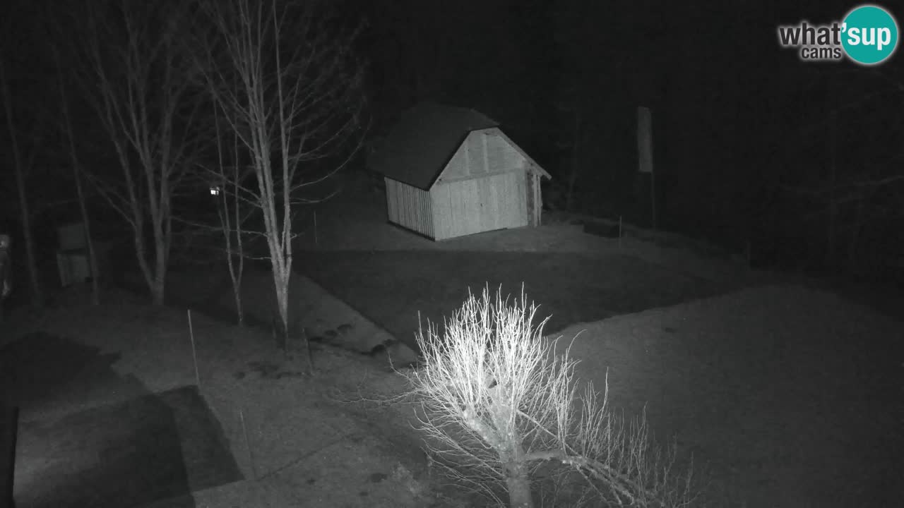 Webcam Lukanja – Pohorje houses a Water village