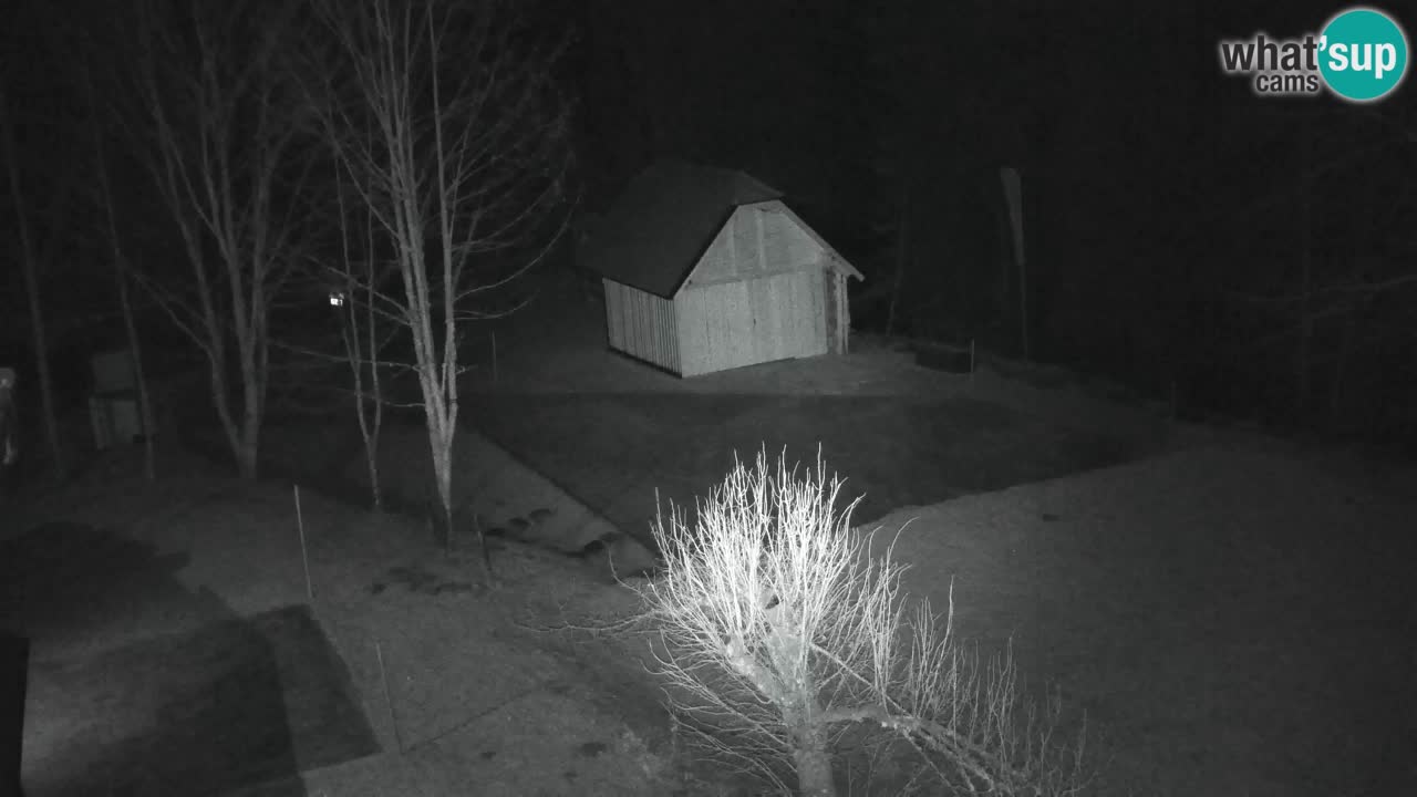 Spletna kamera Lukanja – Water Village | Pohorje Houses