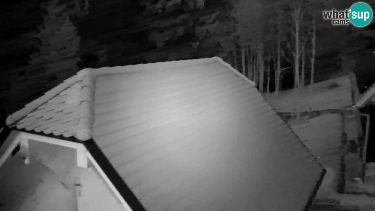 Spletna kamera Lukanja – Water Village | Pohorje Houses