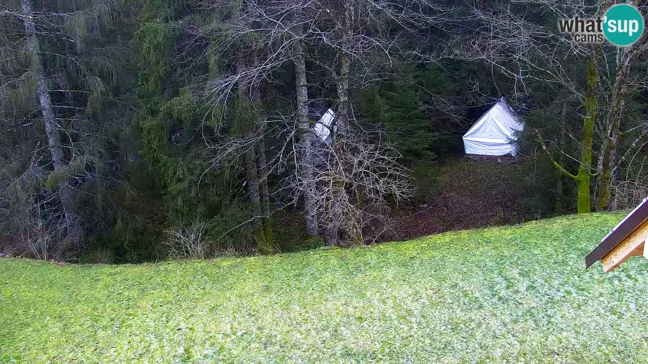 Webcam Lukanja – Water Village | Pohorje Houses