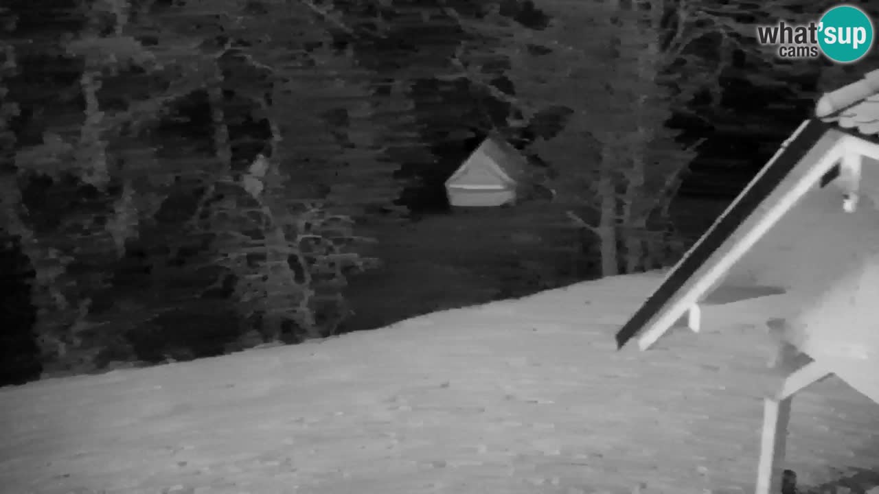 Webcam Lukanja – Water Village | Pohorje Houses