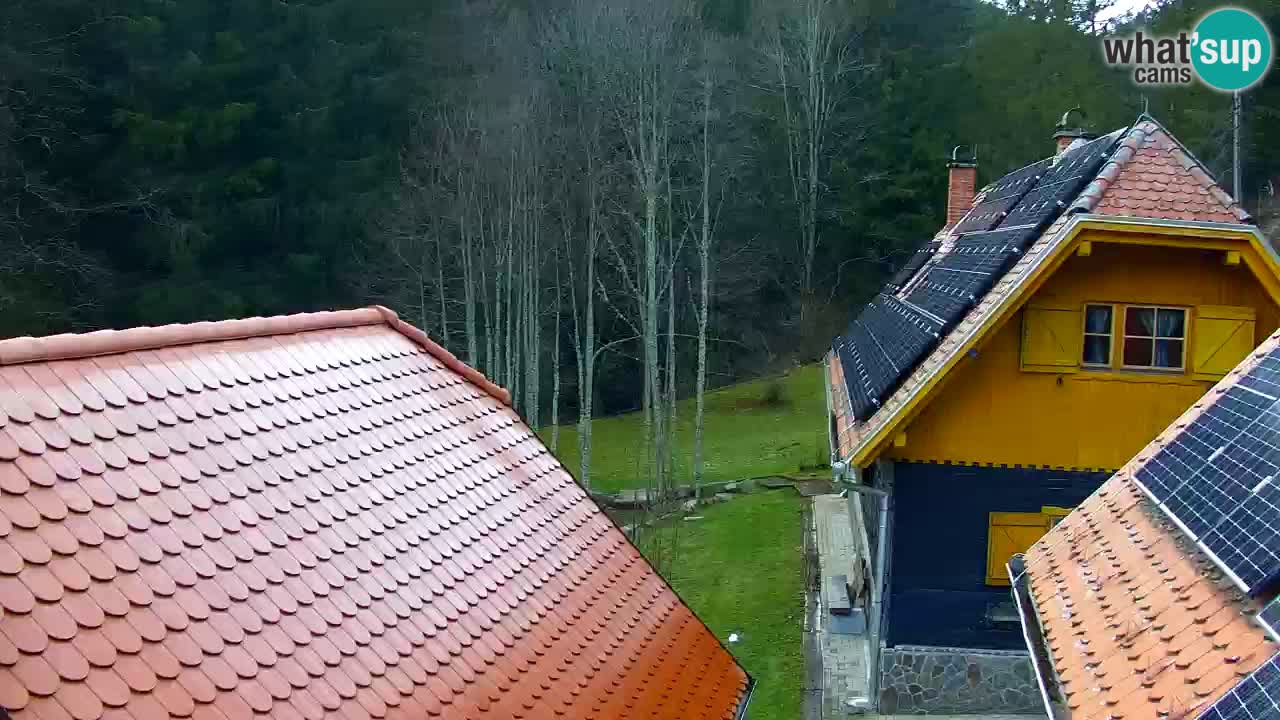 Webcam Lukanja – Pohorje houses a Water village