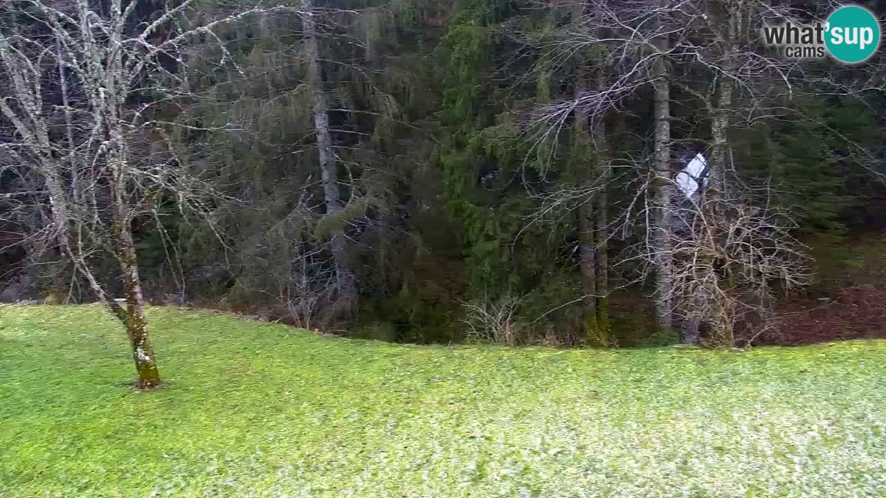 Spletna kamera Lukanja – Water Village | Pohorje Houses