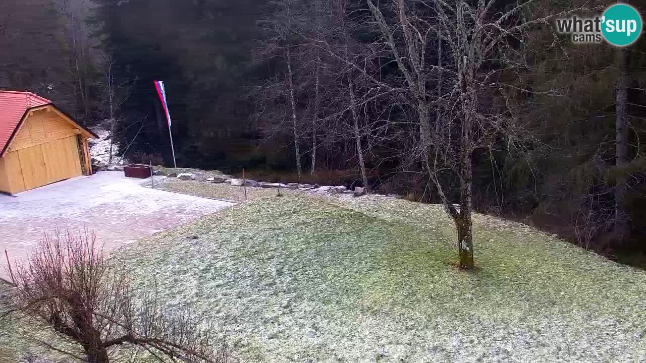 Webcam Lukanja – Pohorje houses a Water village