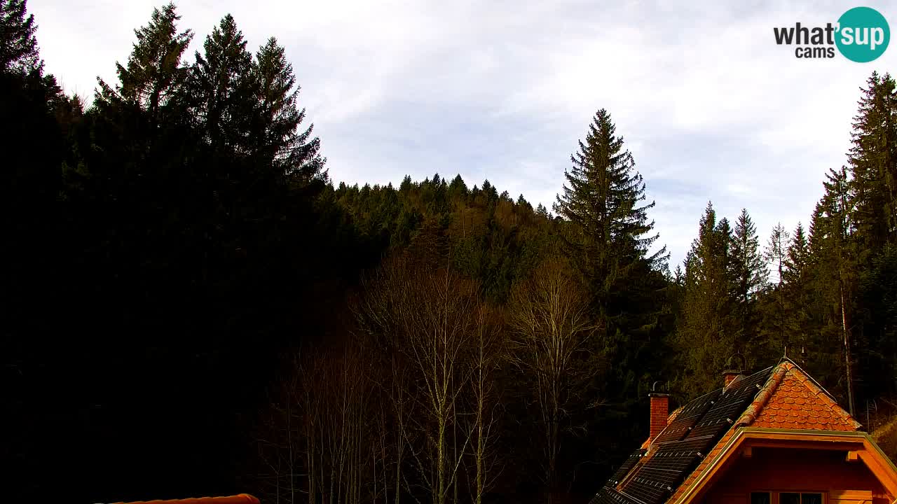 Webcam Lukanja – Water Village | Pohorje Houses