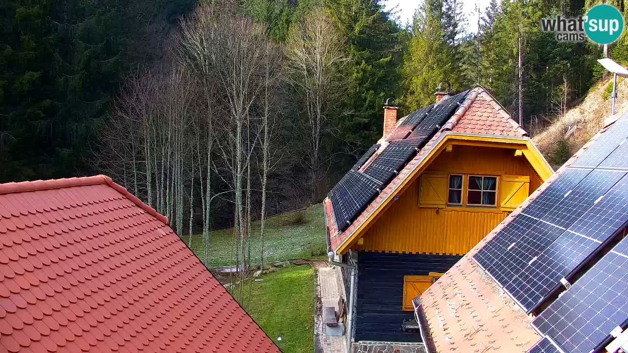 Webcam Lukanja – Water Village | Pohorje Houses