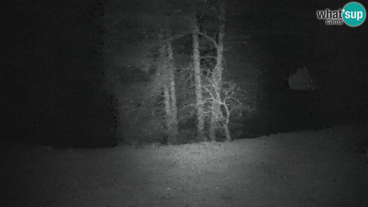 Web kamera Lukanja – Water Village | Pohorje Houses