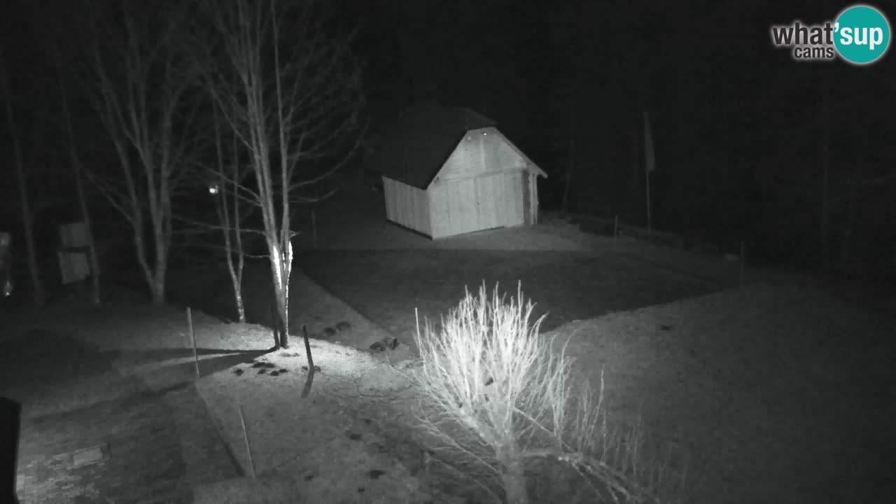 Webcam Lukanja – Water Village | Pohorje Houses