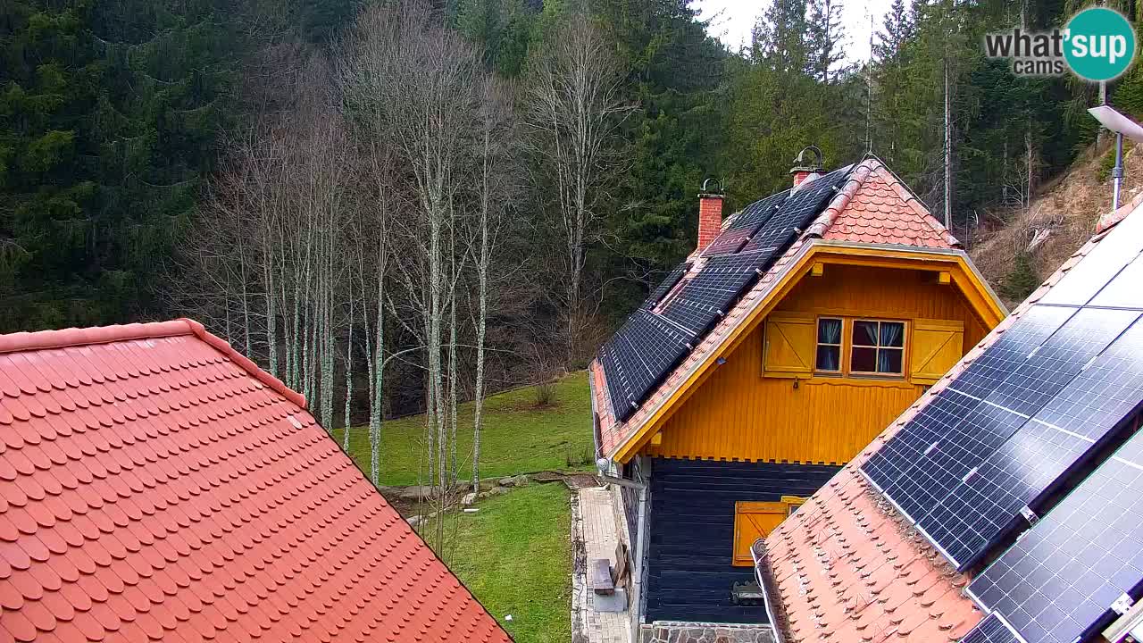Spletna kamera Lukanja – Water Village | Pohorje Houses