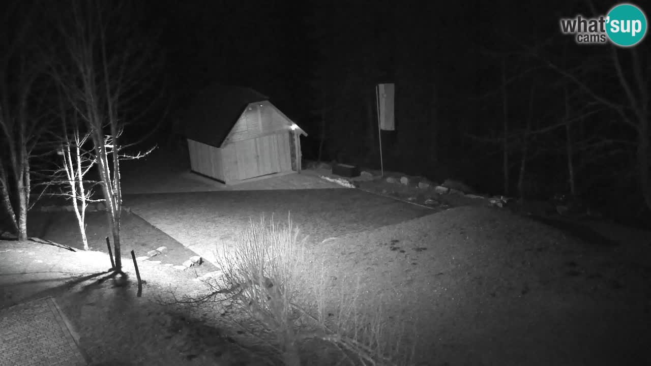 Webcam Lukanja – Water Village | Pohorje Houses