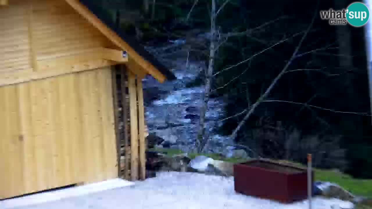 Webcam Lukanja – Water Village | Pohorje Houses