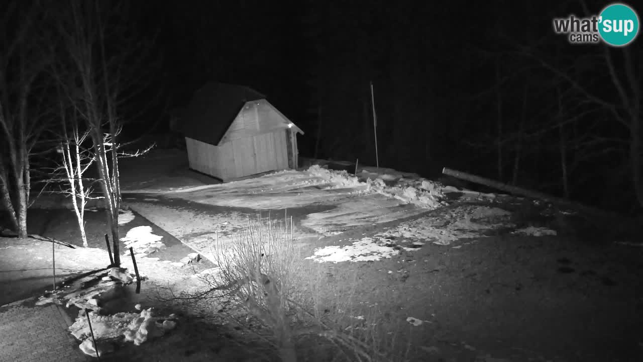 Webcam Lukanja – Water Village | Pohorje Houses