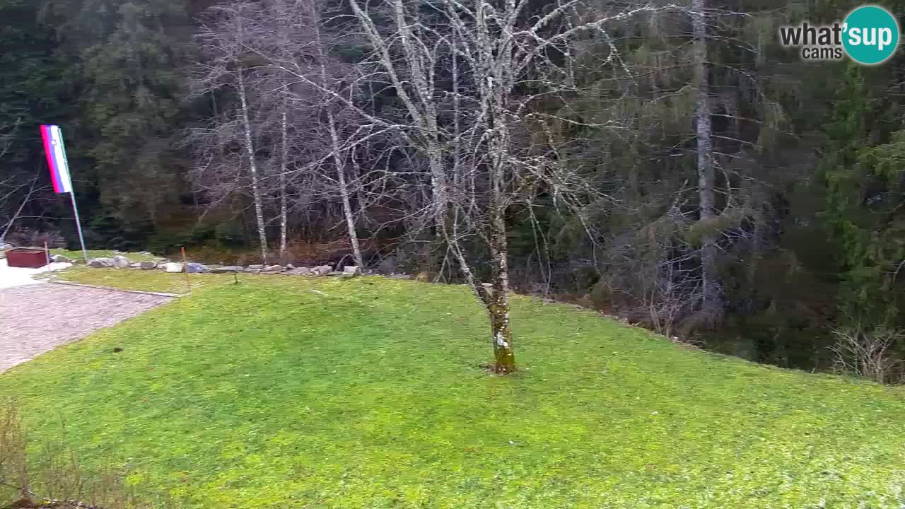 Webcam Lukanja – Water Village | Pohorje Houses