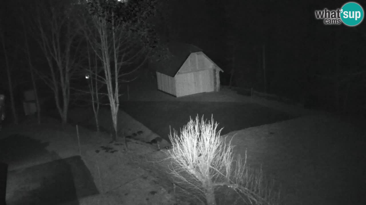 Webcam Lukanja – Water Village | Pohorje Houses