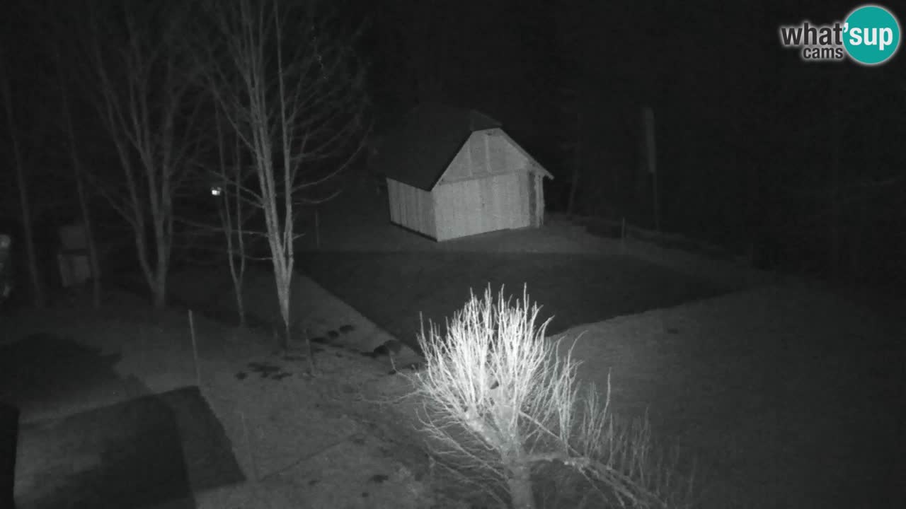 Webcam Lukanja – Pohorje houses a Water village