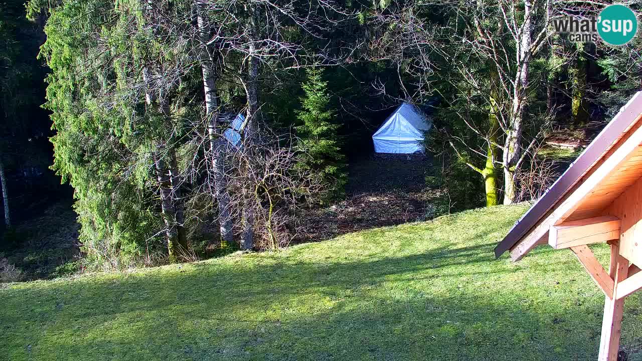 Webcam Lukanja – Water Village | Pohorje Houses