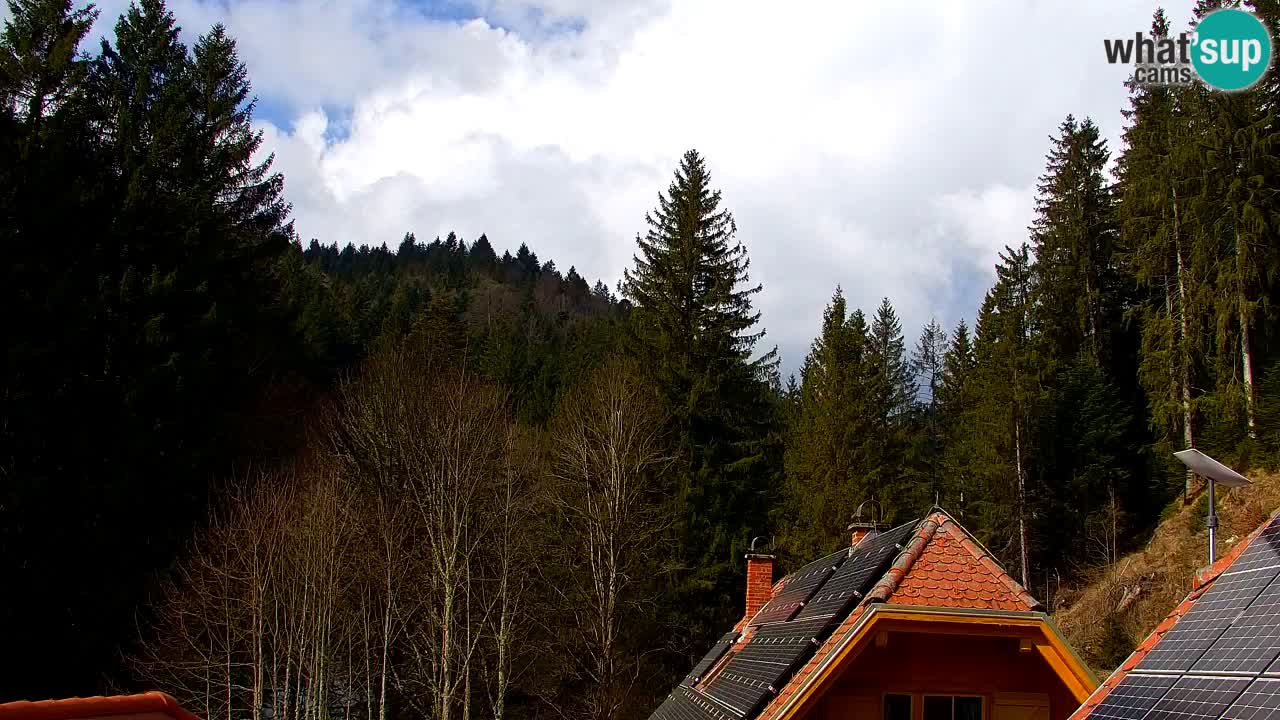 Spletna kamera Lukanja – Water Village | Pohorje Houses