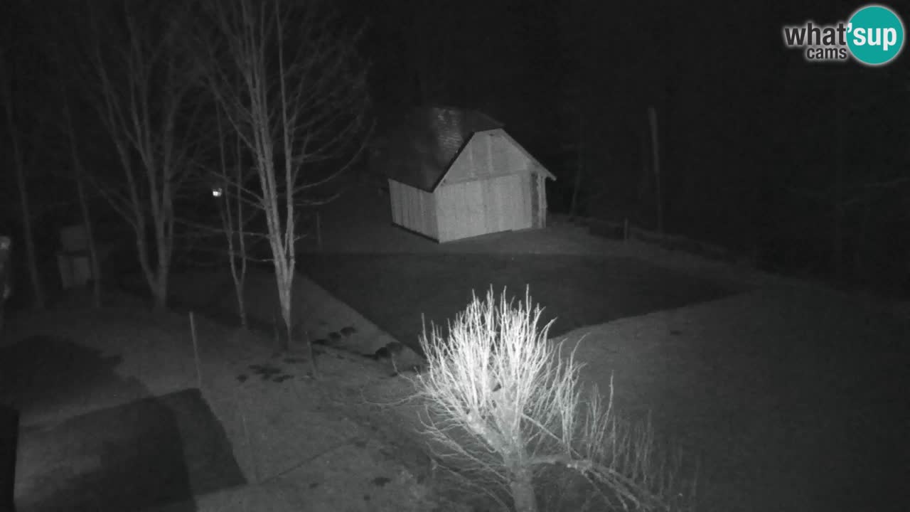 Spletna kamera Lukanja – Water Village | Pohorje Houses