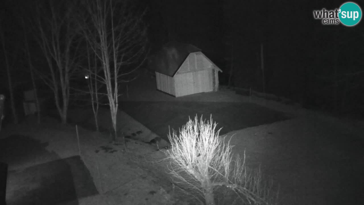 Webcam Lukanja – Water Village | Pohorje Houses