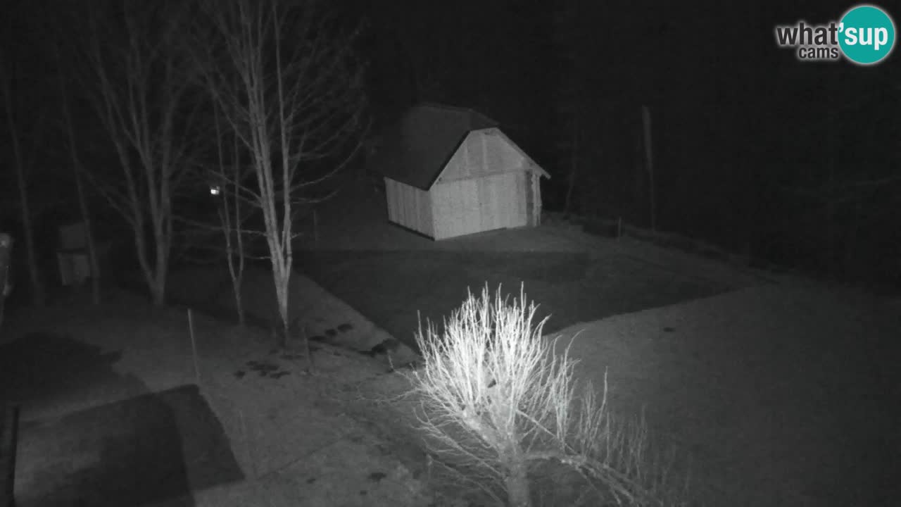 Spletna kamera Lukanja – Water Village | Pohorje Houses