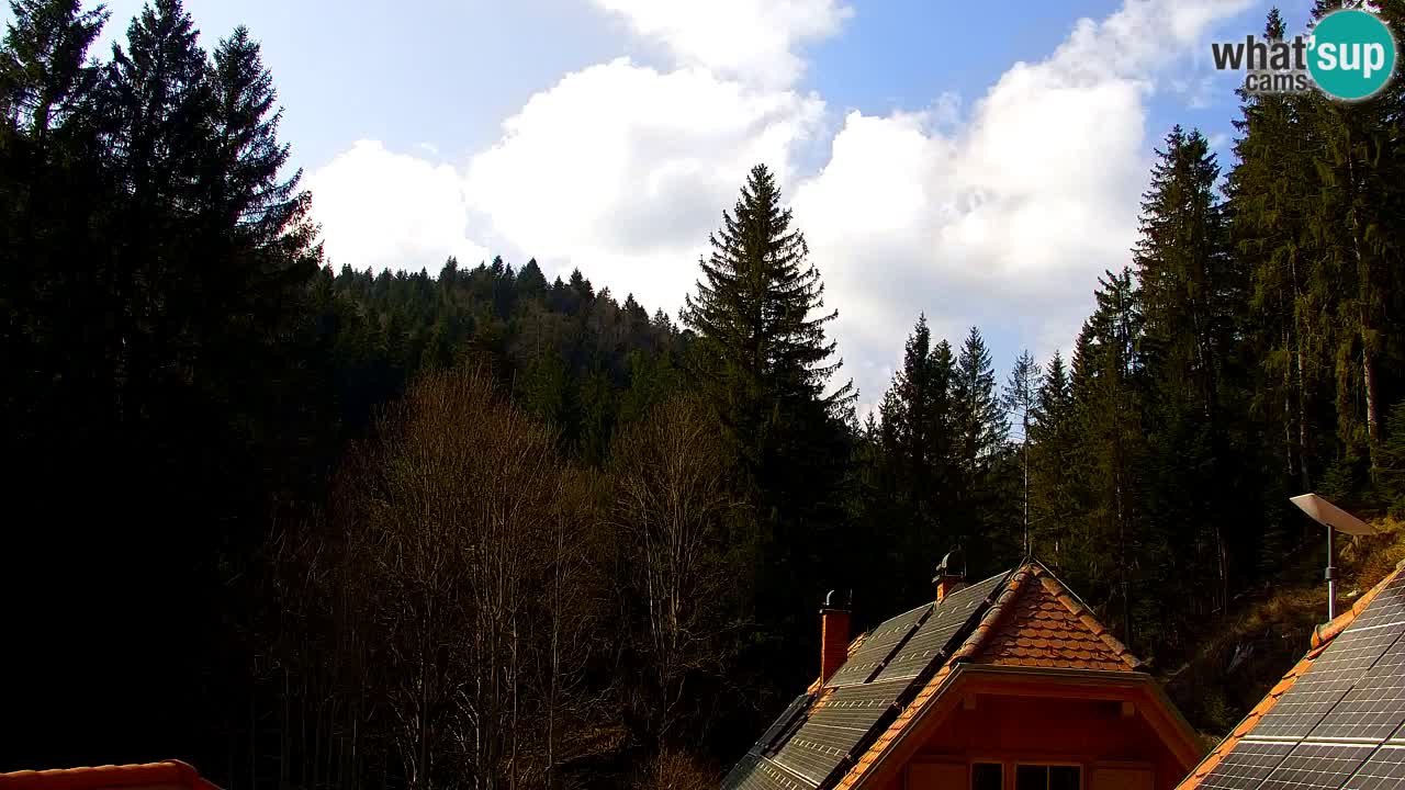 Web kamera Lukanja – Water Village | Pohorje Houses