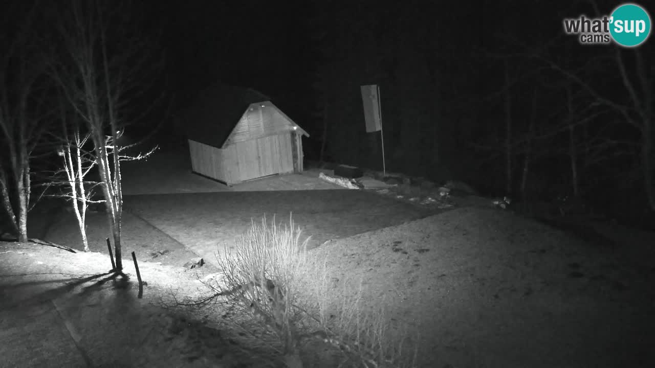 Webcam Lukanja – Water Village | Pohorje Houses