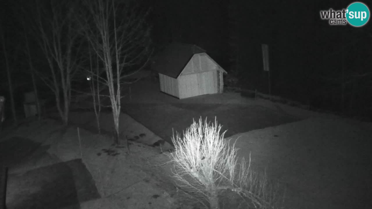 Webcam Lukanja – Pohorje houses a Water village