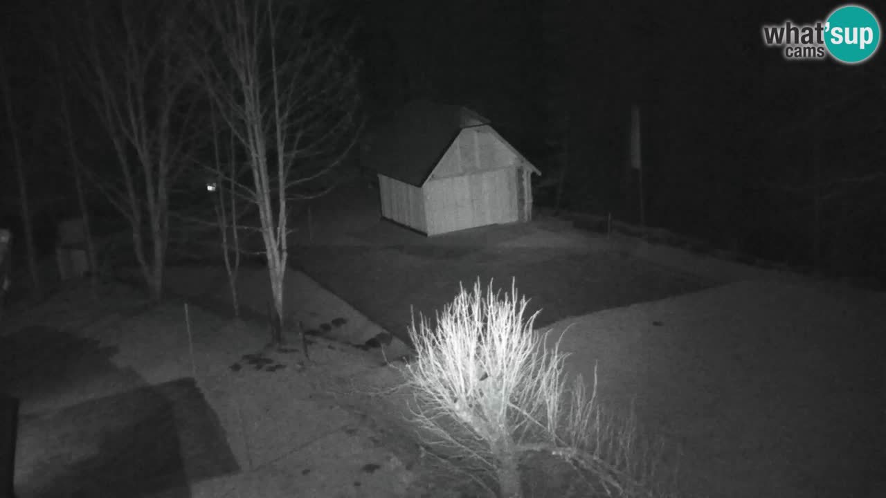 Webcam Lukanja – Pohorje houses a Water village