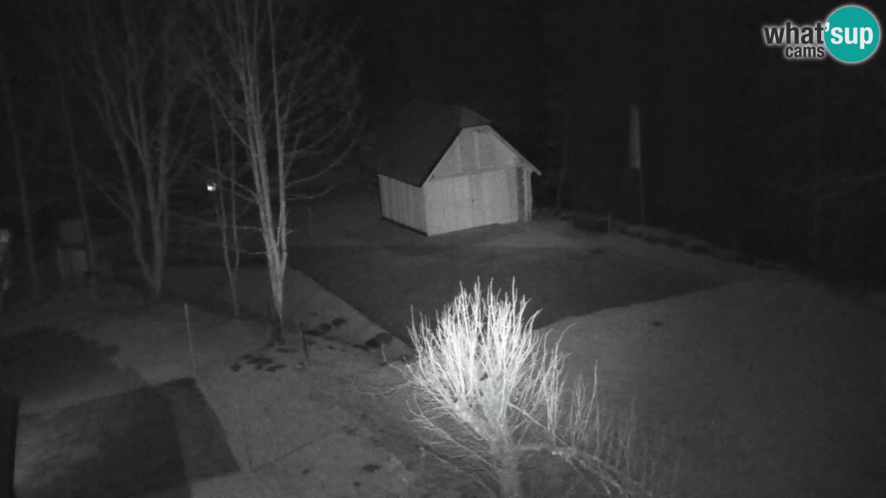 Webcam Lukanja – Pohorje houses a Water village