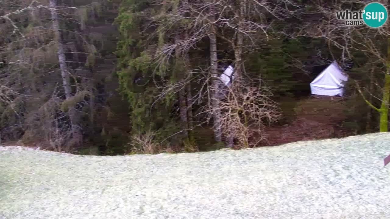 Webcam Lukanja – Water Village | Pohorje Houses