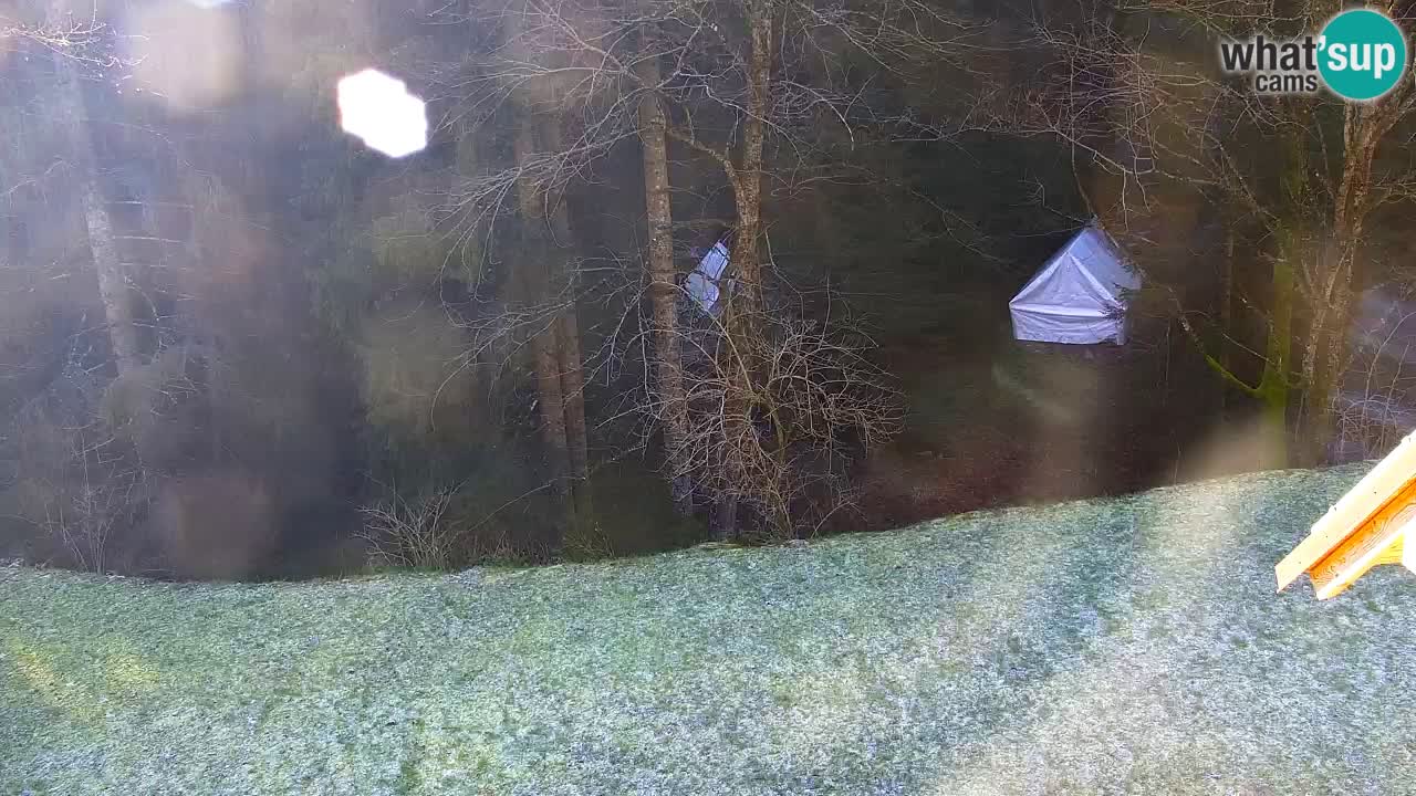 Webcam Lukanja – Water Village | Pohorje Houses