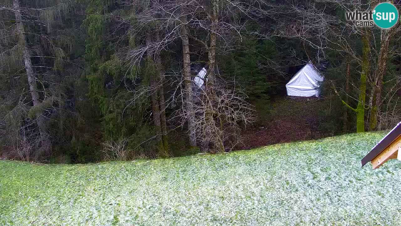 Webcam Lukanja – Water Village | Pohorje Houses