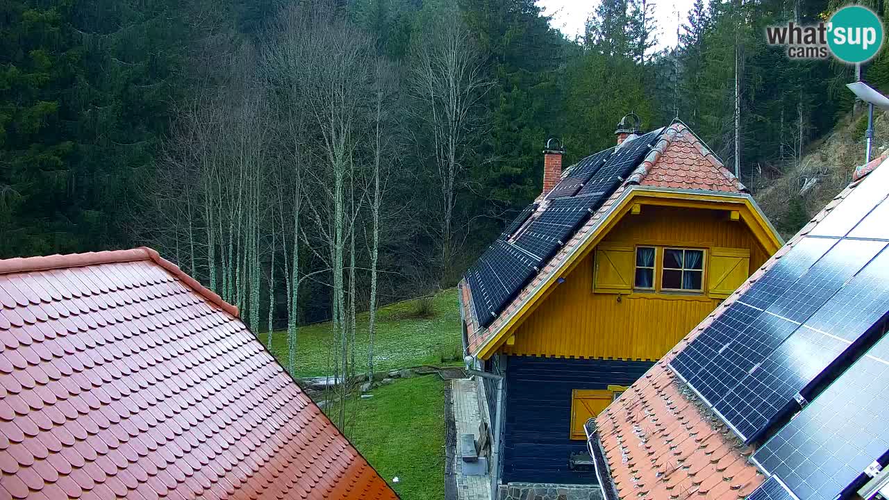Webcam Lukanja – Water Village | Pohorje Houses